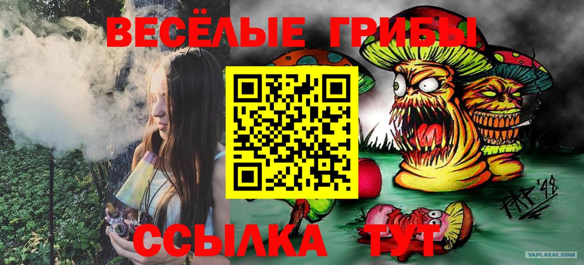 Рузаевка  Галлюциногенные грибы мухоморы  Вход с VPN 