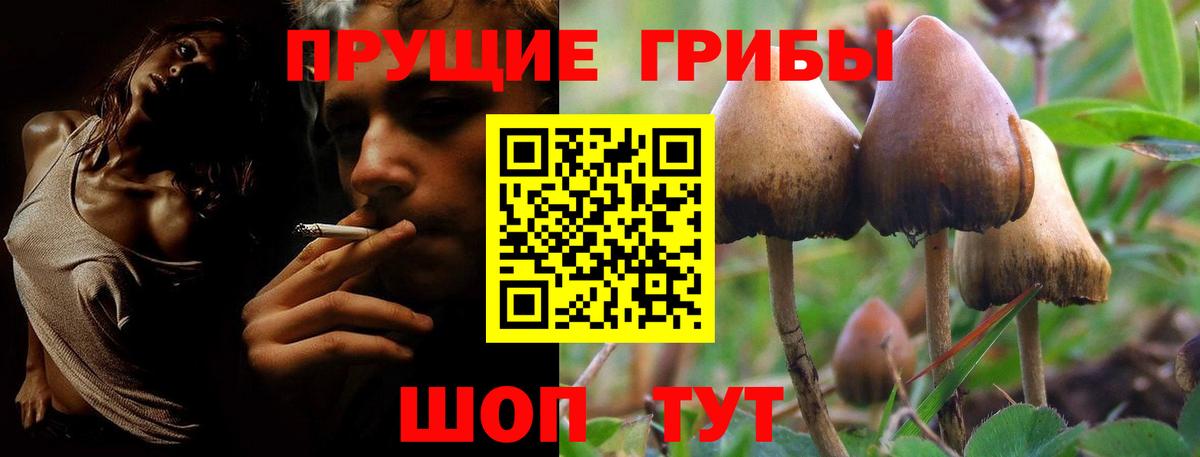 Псилоцибиновые грибы Psilocybine cubensis Рузаевка